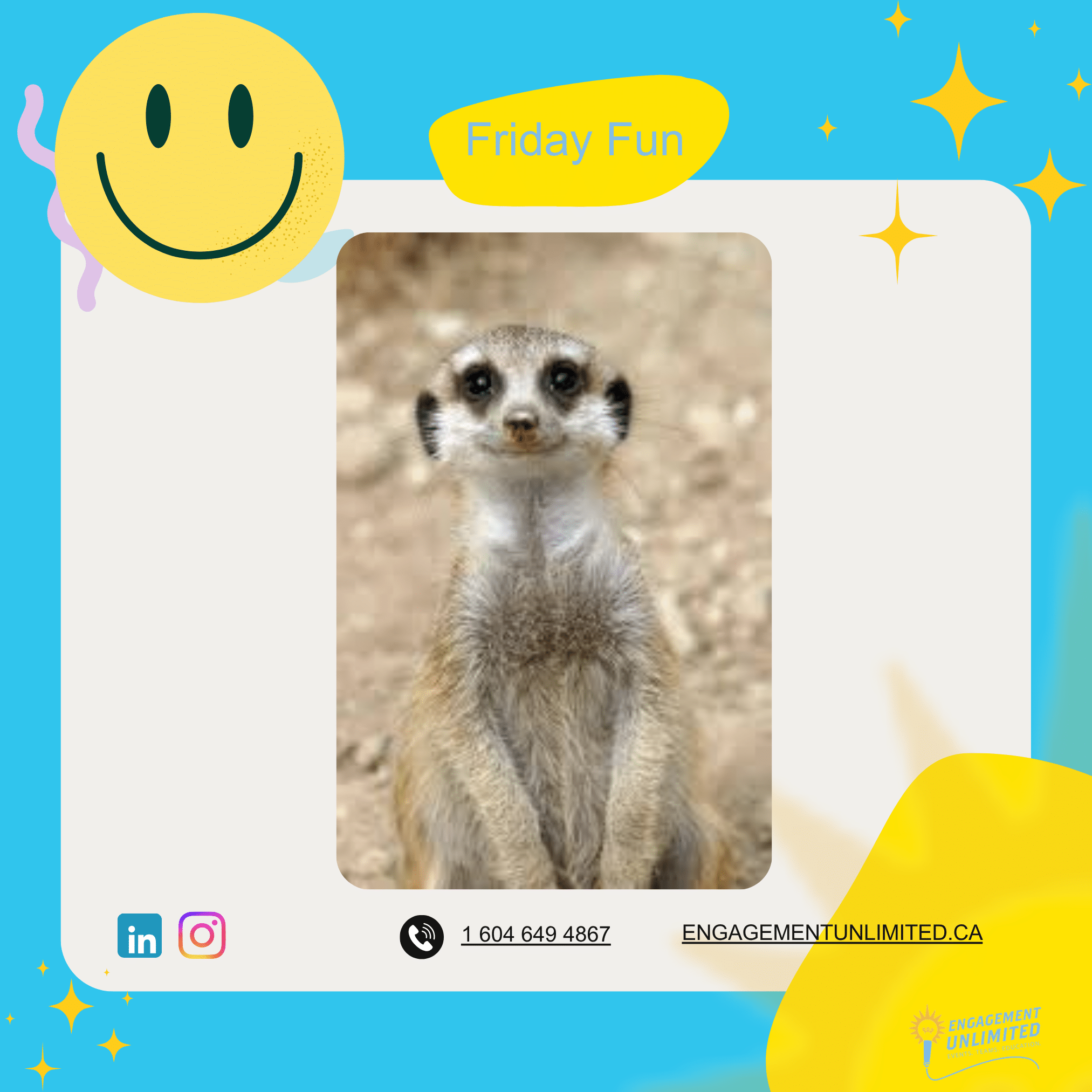 Friday Fun smiling meerkat looking out for the weekend