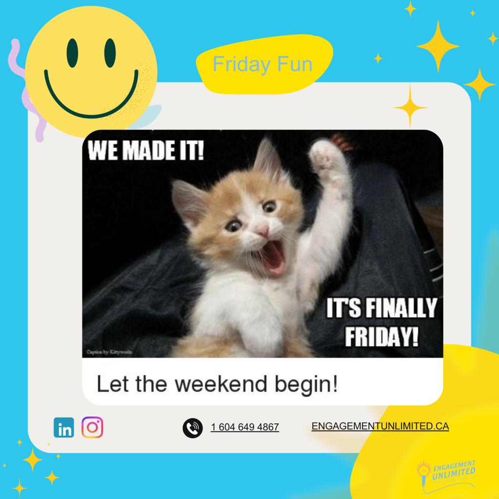 6 5 26 We made it kitten Friday Fun 1