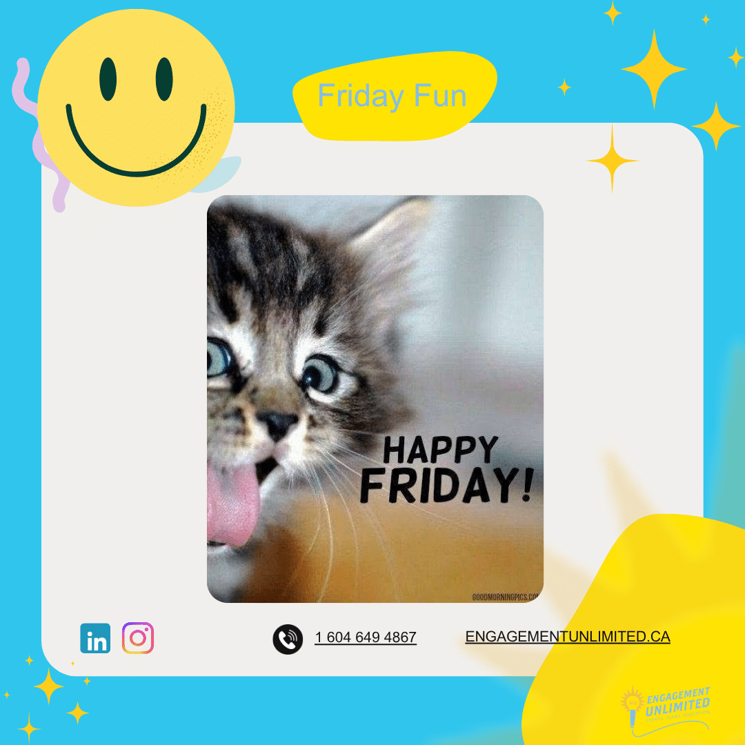 Friday Fun: a kitten photo wishing everyone a happy Friday